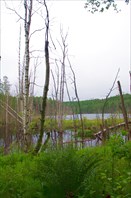 Окунёвое озеро на о.Путсаари